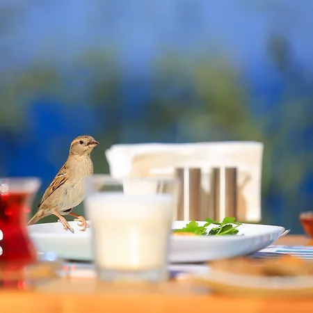Mavilim Hotel Kaş